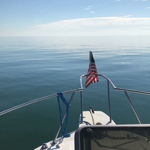 Meet your Posher, Shelby